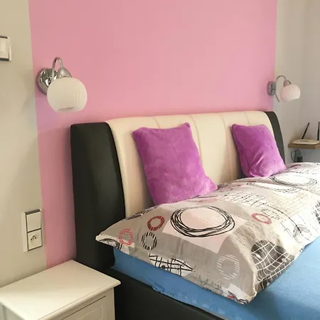 بيت ضيافة Sv. Duch