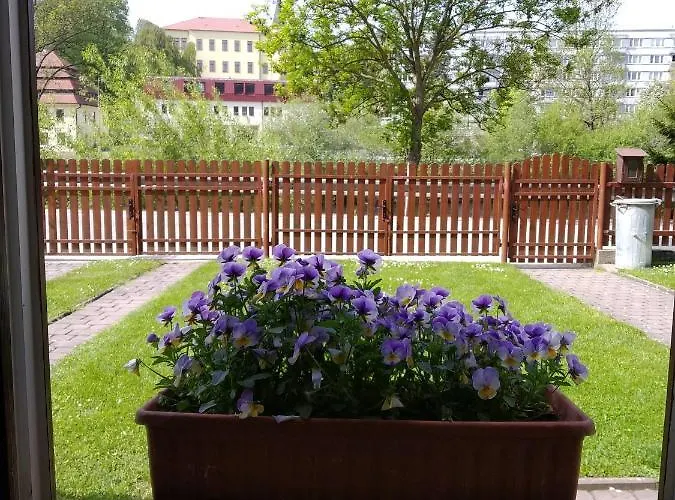Sv. Duch